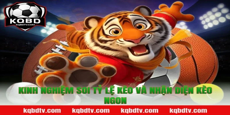 Kinh nghiệm soi Tỷ lệ kèo và nhận diện kèo ngon