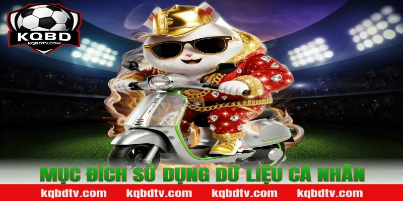 Mục Đích Sử Dụng Dữ Liệu Cá Nhân
