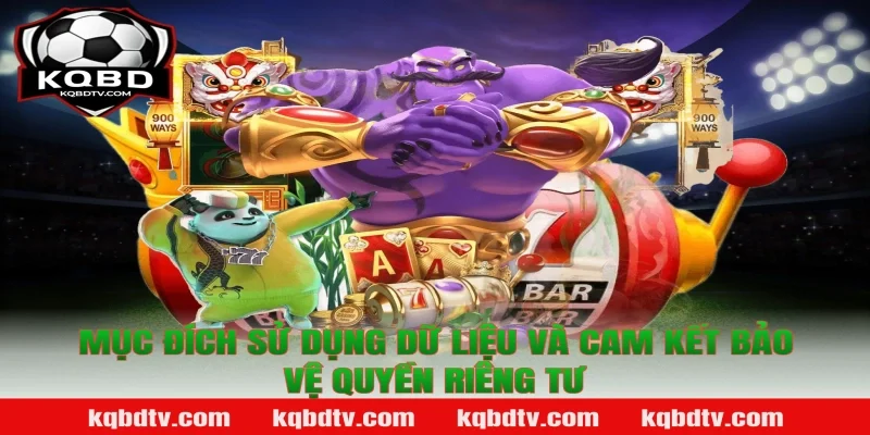 Mục Đích Sử Dụng Dữ Liệu Và Cam Kết Bảo Vệ Quyền Riêng Tư