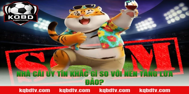 Nhà Cái Uy Tín Khác Gì So Với Nền Tảng Lừa Đảo?