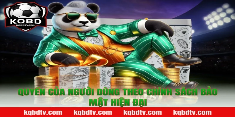 Quyền Của Người Dùng Theo Chính Sách Bảo Mật Hiện Đại