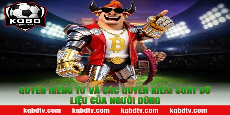 Quyền Riêng Tư Và Các Quyền Kiểm Soát Dữ Liệu Của Người Dùng