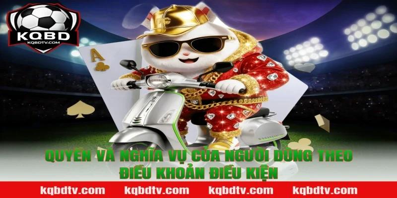 Quyền Và Nghĩa Vụ Của Người Dùng Theo Điều Khoản Điều Kiện