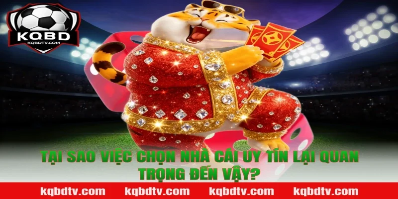 Tại Sao Việc Chọn Nhà Cái Uy Tín Lại Quan Trọng Đến Vậy?
